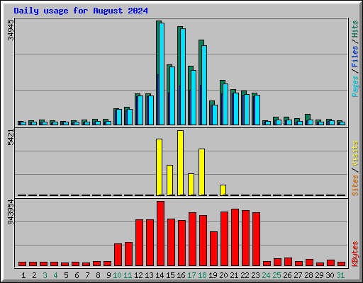 Daily usage for August 2024