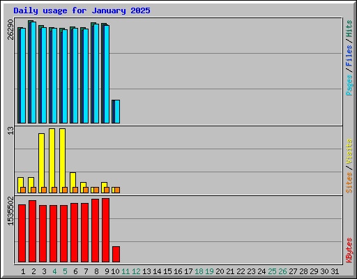 Daily usage for January 2025