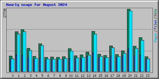 Hourly usage for August 2024