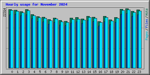 Hourly usage for November 2024