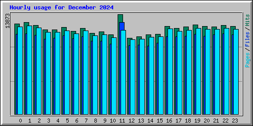 Hourly usage for December 2024