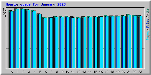 Hourly usage for January 2025