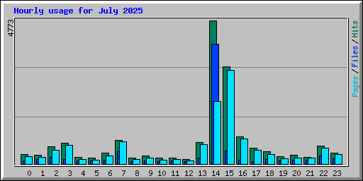 Hourly usage for July 2025