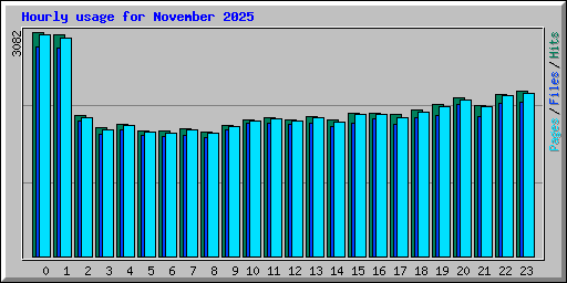 Hourly usage for November 2025