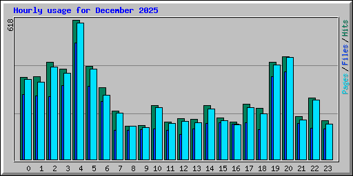 Hourly usage for December 2025