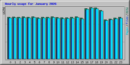 Hourly usage for January 2026